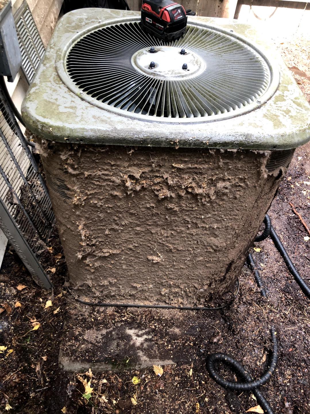 AC Condenser Maintenance - DiMartino's Expert Service Salem OR Air conditioning condenser unit receiving professional maintenance service in Salem Oregon